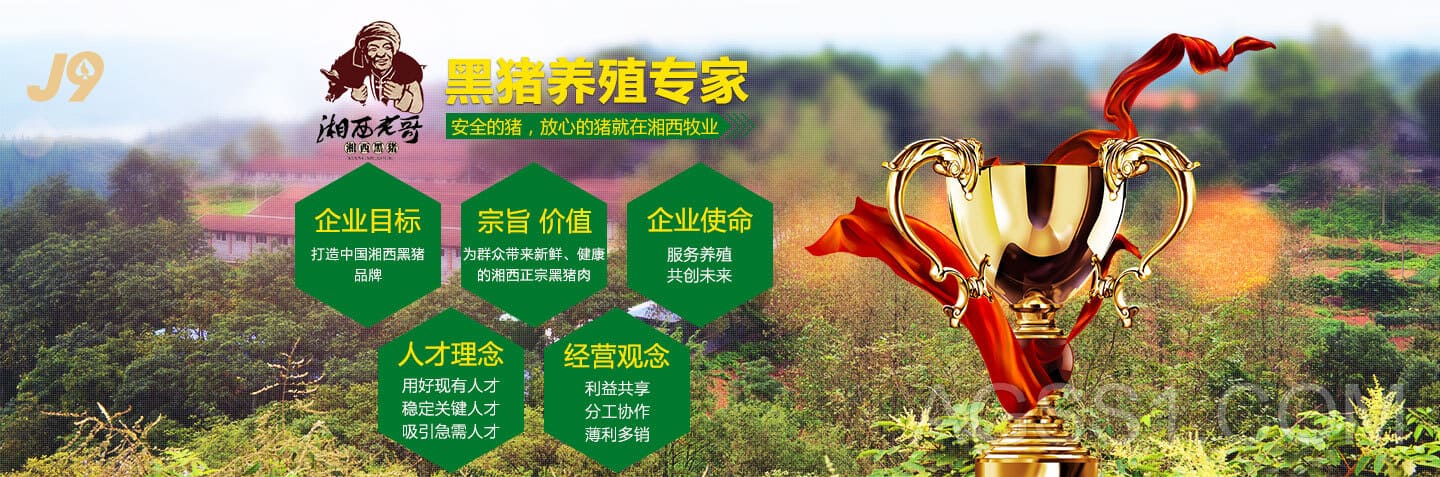 小九直播体育