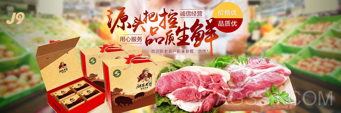 小九直播体育