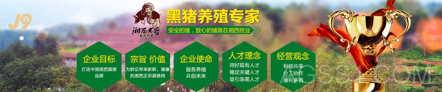 小九直播体育-小九直播足球下载