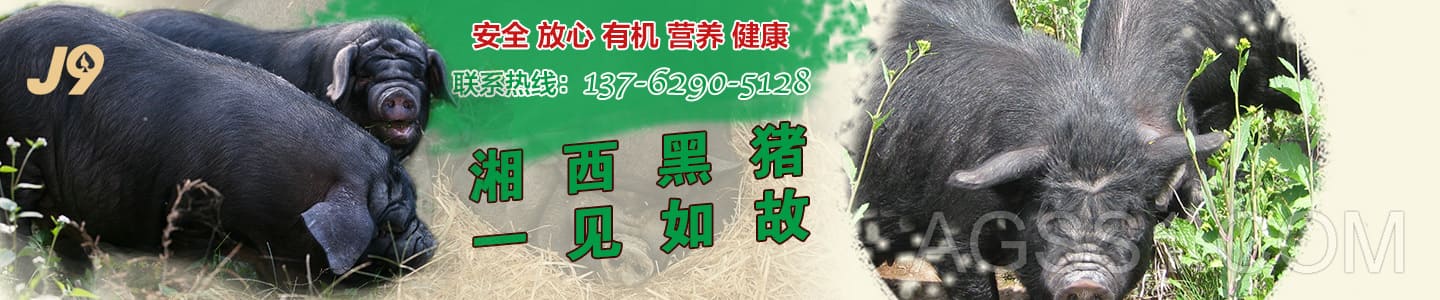 小九直播体育-小九直播足球下载