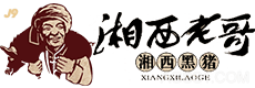 小九直播体育-小九直播足球下载